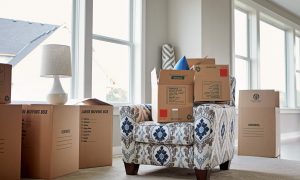 white room with windows and a lot of natural lighting, several brown moving boxes, white armchair in the middle with a blue and grey design